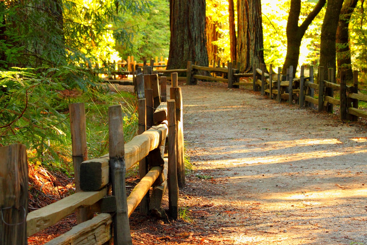 hiking at rock creek park