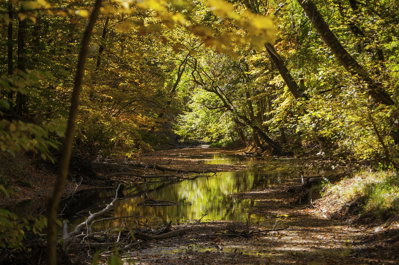 beautiful scenery at rock creek park