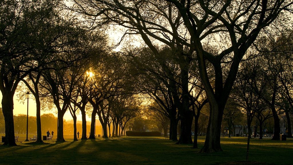 a park in dc