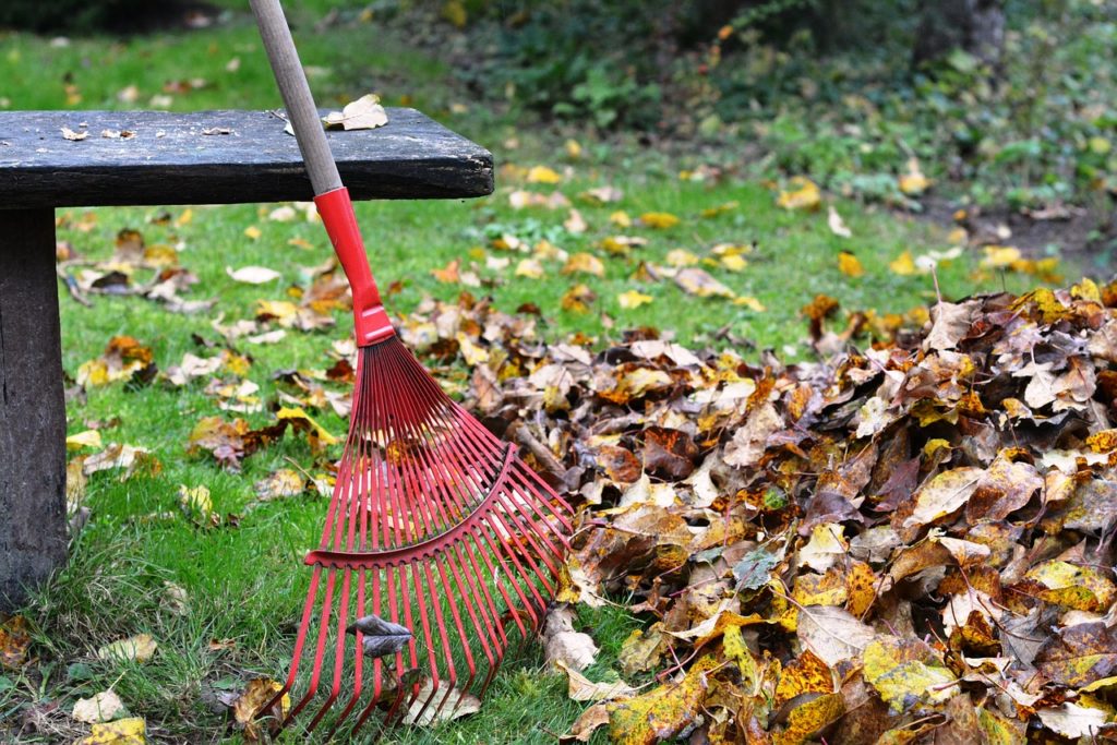 raking leaves