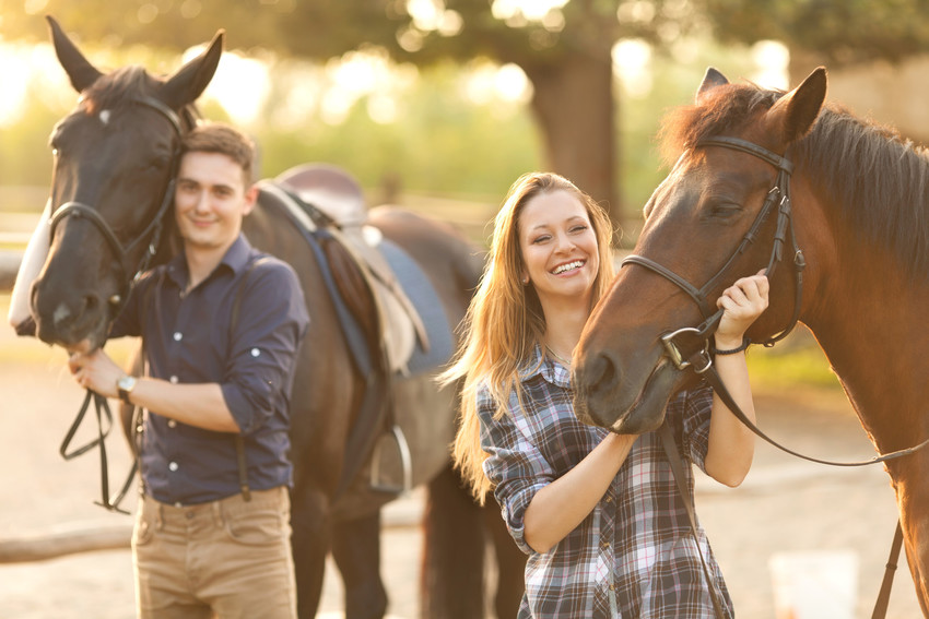 horseback riding in wheaton park